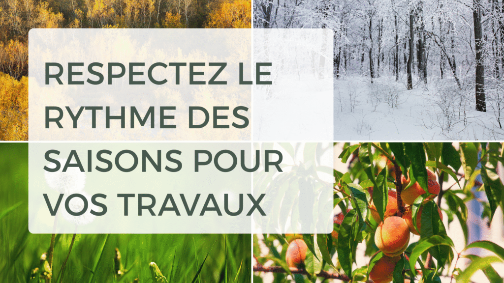 titre pour l'article Respectez le rythme des saisons pour vos travaux