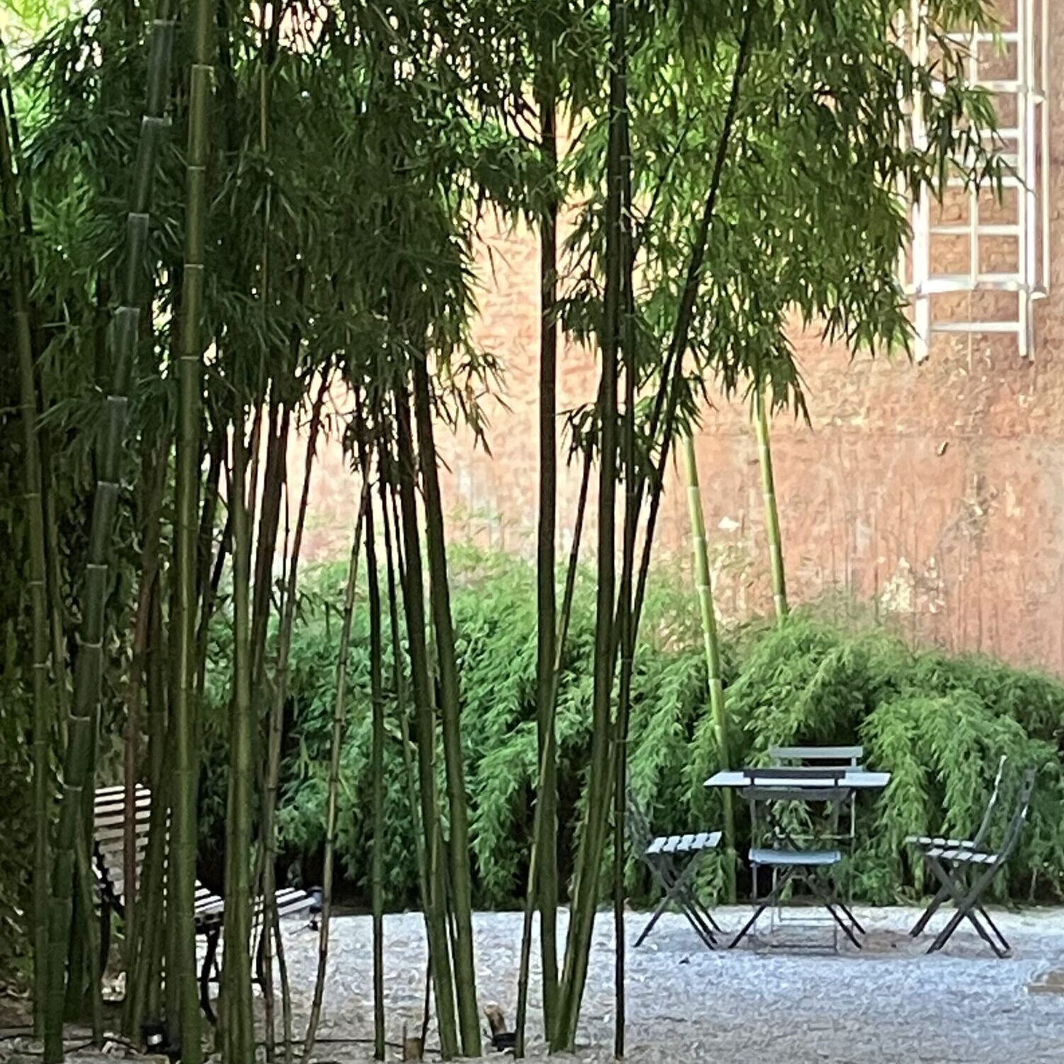 Jardin privé avec bambous, table extérieure et espace de vie au calme