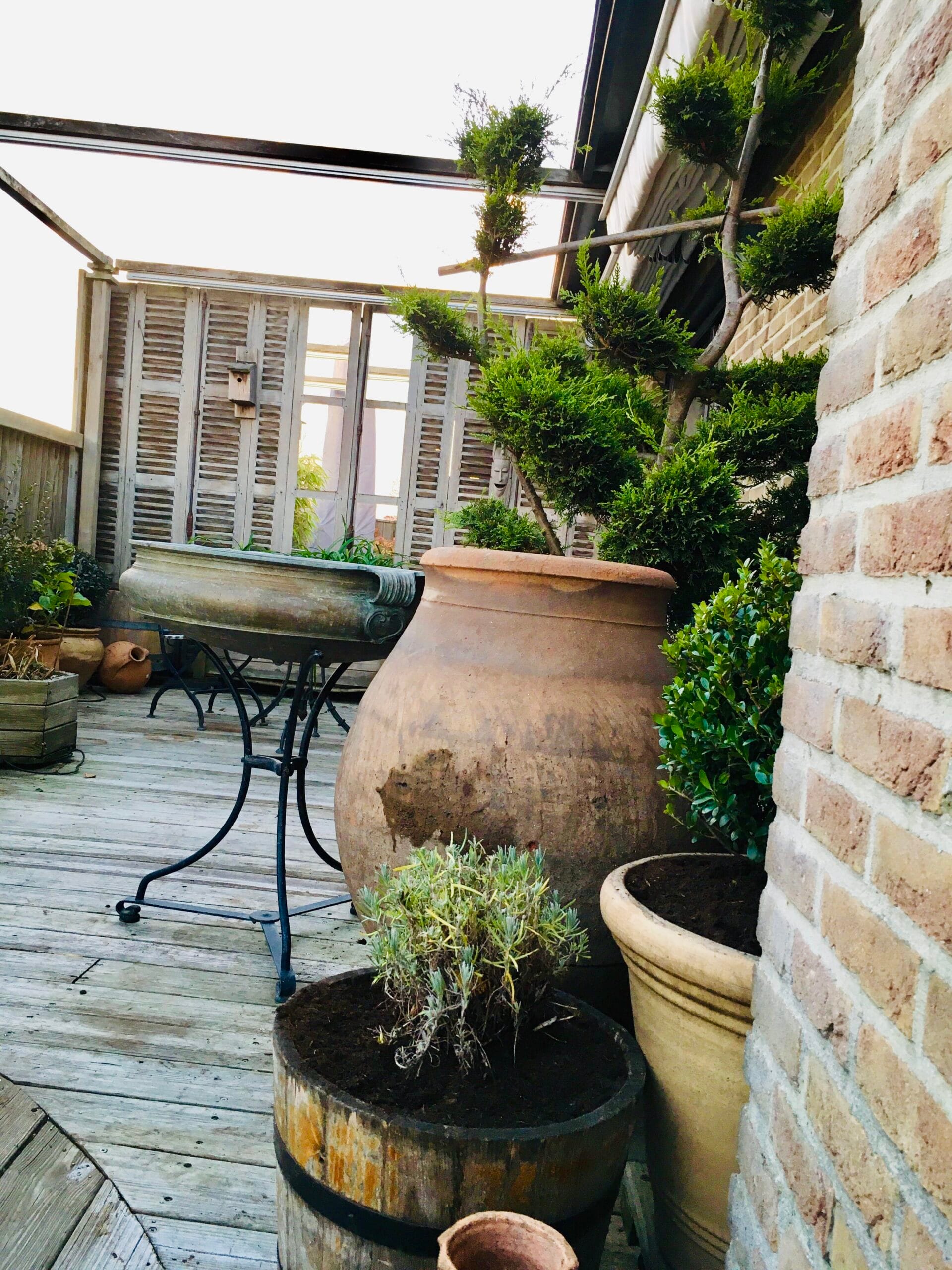 Terrasse végétalisée avec pots, plantes et matériaux naturels près d’une maison