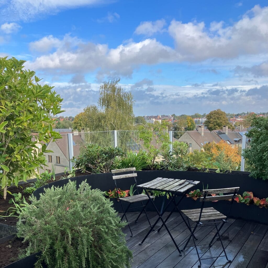 Terrasse végétalisée avec mobilier extérieur et vue sur la périphérie bruxelloise