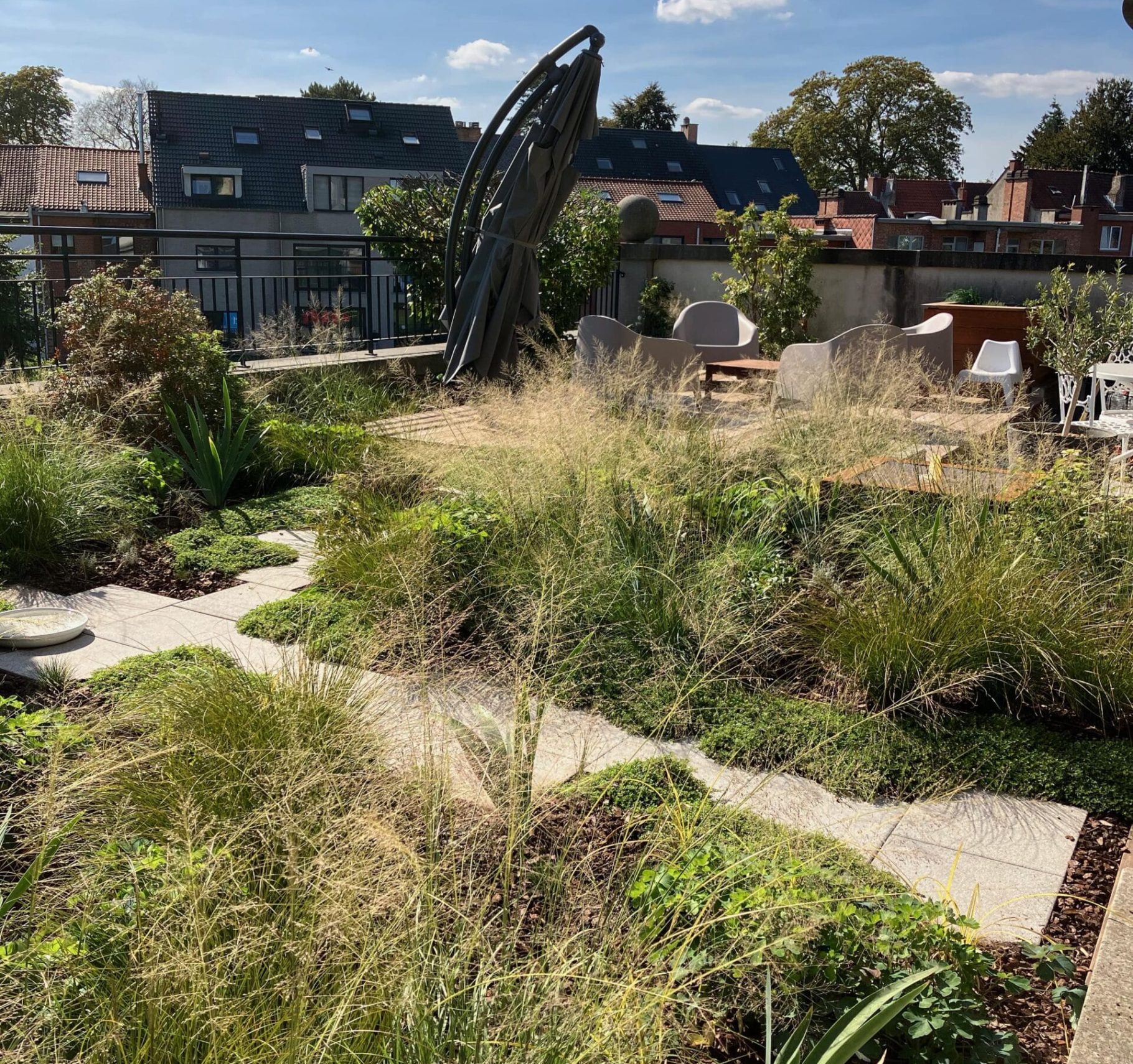 Photo Jardin sur un toit